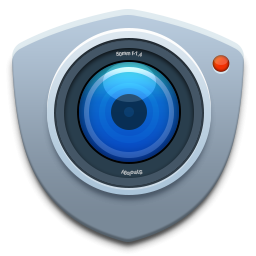 icon for 'synology-surveillance-station' link